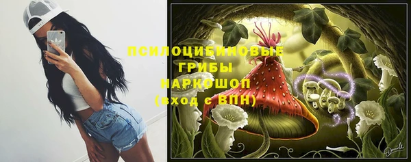 тгк Михайлов